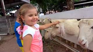ديانا وروما في المزرعة for kids