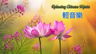 台語老歌 百聽不膩 純音樂版 放鬆解壓 Relaxing Taiwanese Old Songs