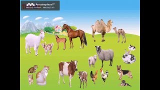 уй жануарлары/ Развивающий мультфильм для детей