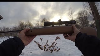 Обзор винтовки crosman optimus r8-c01k77x. Выбор пневматики для новичка.