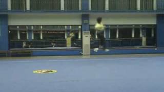 Wushu of Beijing