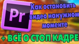 ADOBE PREMIERE PRO. СТОП КАДР. КАК ОСТАНОВИТЬ ВИДЕО НА НУЖНОМ МОМЕНТЕ
