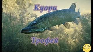 Русская рыбалка 4 щука обыкновенная трофей