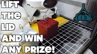Lift The Lid & Win A Prize!