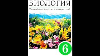 § 11 Цветок