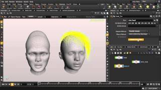 Houdini | Hair Transfer