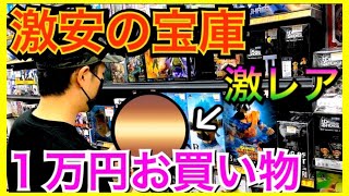 【破格】値段間違えてる？爆安フィギュアショップで1万円お買い物！