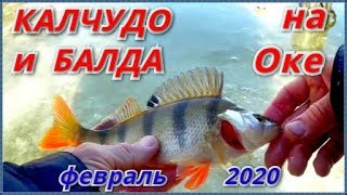 Зимняя рыбалка на БАЛДУ и КАЛЧУДО. Рыбалка на ОКЕ в феврале 2020.