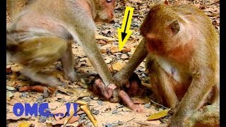OMG ! THIS IS SHOCKING | MOM & KIDNAPPER ARE FIGHTING TO GET NEWBORN BABY TITAN | BB CRIES DEEPLY