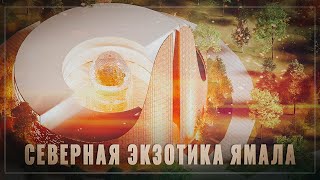 Это просто сказка! Российский Север расцветает, Ямал