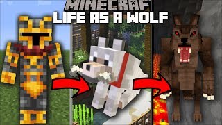 Minecraft LIFE AS A WOLF MOD / FIGHT AND PLAY WITH OTHER ANIMALS!! Minecraft