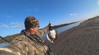 Охота на гуся. Осень 2019.  \ Goose hunting