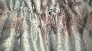 Bed Bug Facts
