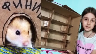 Лиза сама построила Лабиринт для ХОМЯКА из Картона