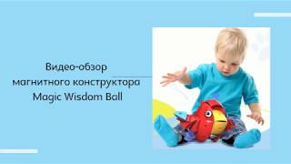 Магнитный конструктор Magic Wisdom Ball! Уже в Украине!