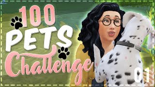 The Sims 4 | 100 Pets Challenge // Introductions [01] | Mousie