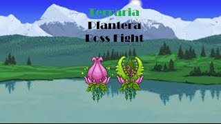 Terraria Plantera boss fight normal mode