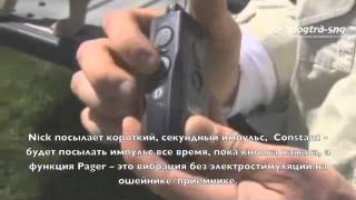 Зачем использовать электроошейник? Video 3