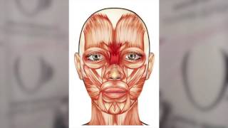Гимнастика для лица FACEFORMING  Галины Дубининой - Вертикальные складки на лбу