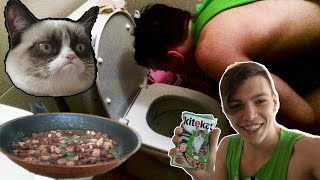 Мастер Шеф от Фила ( Как готовить кошачий корм )