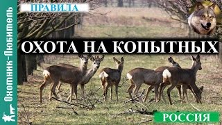 Охота на копытных в России!
