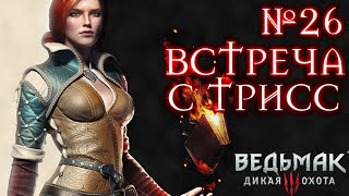 Прохождение Ведьмака 3 №26 ЗАБОТЫ МОГИЛЬЩИКА, ВСТРЕЧА С ТРИСС, ГВИНТ