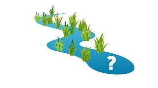 БИОручьи не работают? 5/8 Ошибки фильтрации прудов.