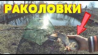 ВОТ ЭТО УЛОВ НА РАКОЛОВКИ В СОБСТВЕННОМ ПРУДУ !!!