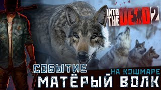 Into the Dead 2 - Прохожу Событие "Матёрый волк" на Кошмаре (ios) #21