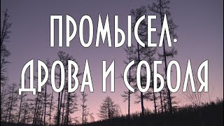 Промысел, Дрова и соболя, быт и жизнь на промысле