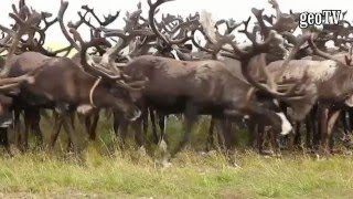 Европейский Север.Лето