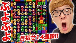【20年ぶり】ぷよぷよで14連鎖ばよえ〜ん! を目指す男の物語…【ヒカキンゲームズ】
