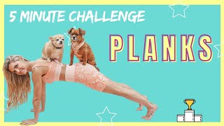 PLANK CHALLENGE - flat tummy & tones arms