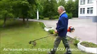 Активные летние будни в ГБОУ Гимназия 1538