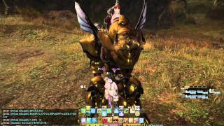 Fihze's FF14 【C式魔導アーマー】 FCメンバーがMIPx500貯めてGETしたので、撮影してきました！(´・ω・`)...黄金虫？ - Patch 2.1