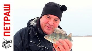 Ловля ОКУНЯ зимой НА БАЛАНСИР Зимняя рыбалка