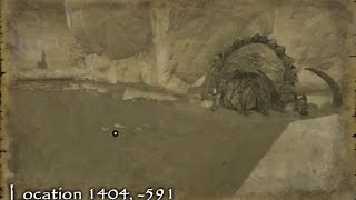 Neverwinter - Treasure Map Location - Dragon Turtle Hut