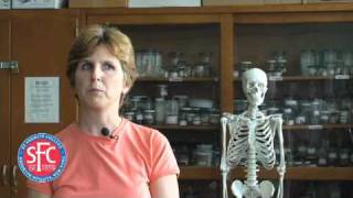 Careers in Biology