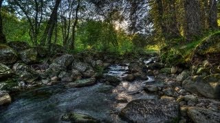 EN CONTACTO - Dr. Charles Stanley - CUANDO SE nos APAGA el FUEGO