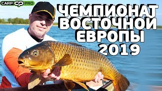 ЧЕМПИОНАТ ВОСТОЧНОЙ ЕВРОПЫ ПО ЛОВЛЕ КАРПА 2019!