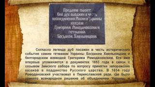 Дубовое, родной край, Белгородская область