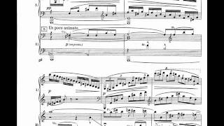 Vladigerov - Piano Concerto No.1 Op.6 (I) (1)
