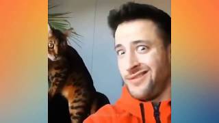 Смех!!! Приколы с кошками 2019. Новые приколы. Подними себе настроение.