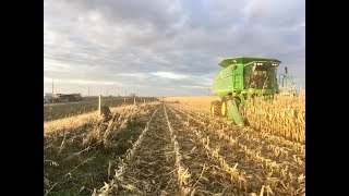 2018 South Dakota Corn Harvest, November 16th