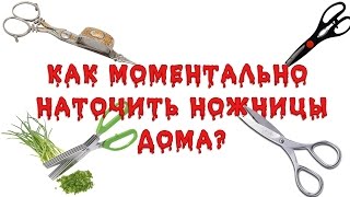 Как моментально заточить ножницы в домашних условиях?
