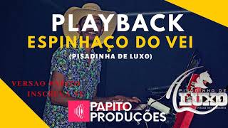 PLAYBACK ESPINHAÇO DO VEI PISADINHA DE LUXO