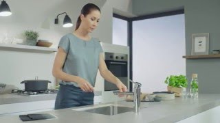 GROHE Pull Out Sprays