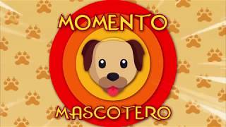 ¿Cómo enseñar a un perro a defenderse o a morder a un invasor?