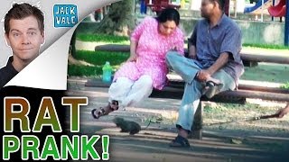 The Rat Prank