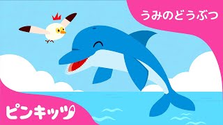 イルカ | うみのどうぶつ | どうぶつのうた | ピンキッツ童謡